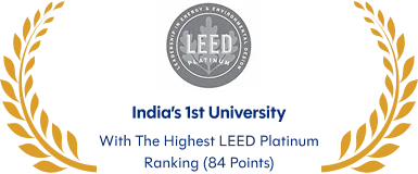 Ranking Badge 7